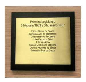 Placa de legislatura 04